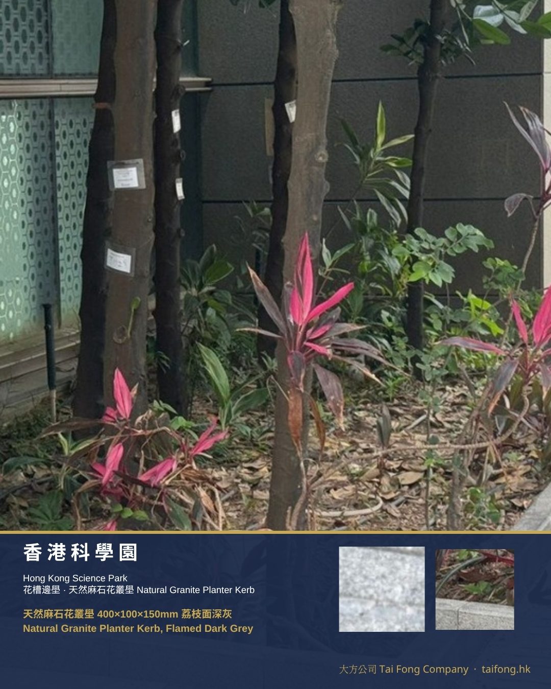 香港科學園 天然麻石花叢壆 01